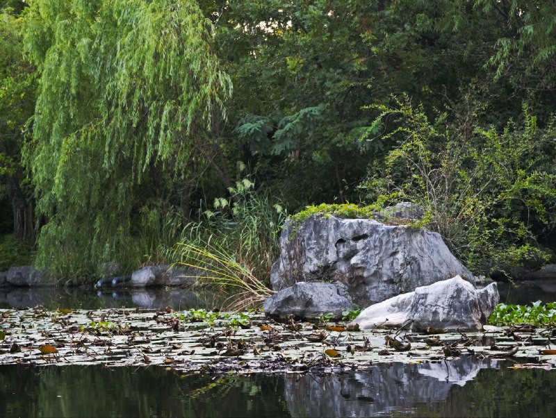 A few pics from our (with blednaya) trip to chinaA few pics from our (with blednaya) trip to china